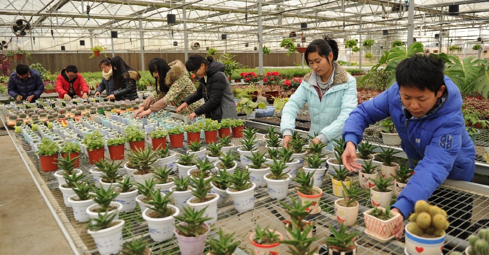 芜湖职业技术学院园艺技术